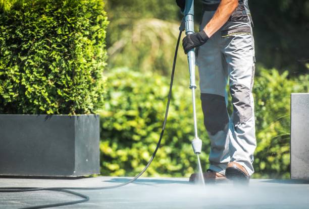 Animal Enclosure Cleaning in Hilton, NY