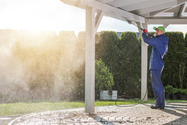 Best Gutter Cleaning  in Hilton, NY