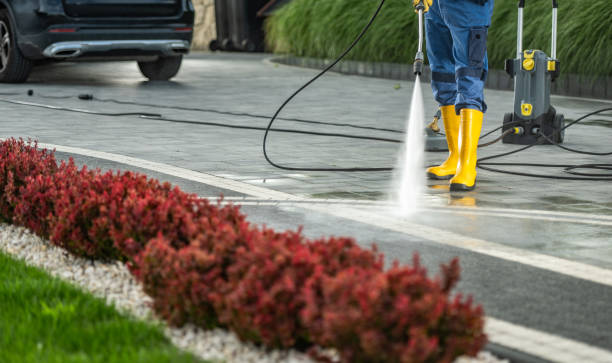 Best House Exterior Washing  in Hilton, NY